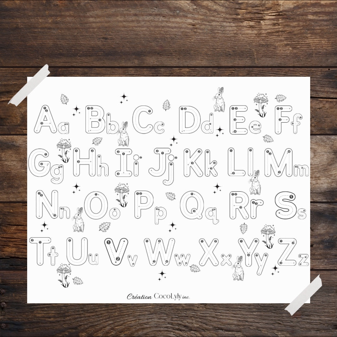 Feuille effaçable éducative et réutilisable apprendre à écrire les lettres