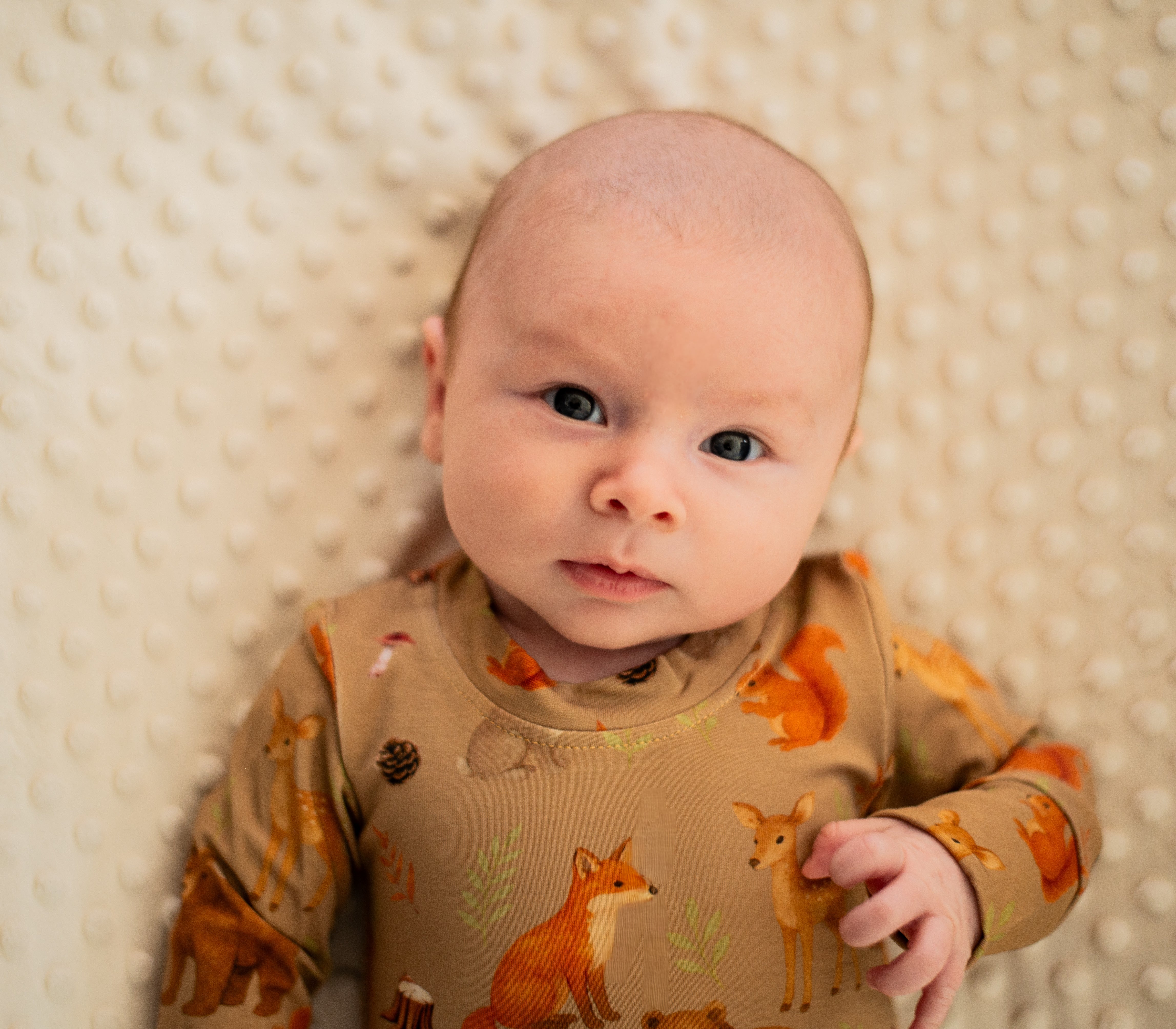 🦊 Pyjama 2 pièces en bambou – Les copains des bois