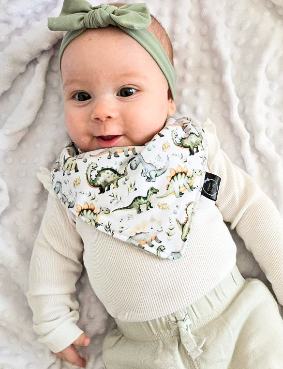 Bavoir les dinos vert dos vert sauge