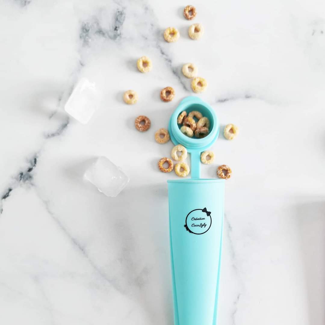 Ensemble de 4 moules à pop glacer