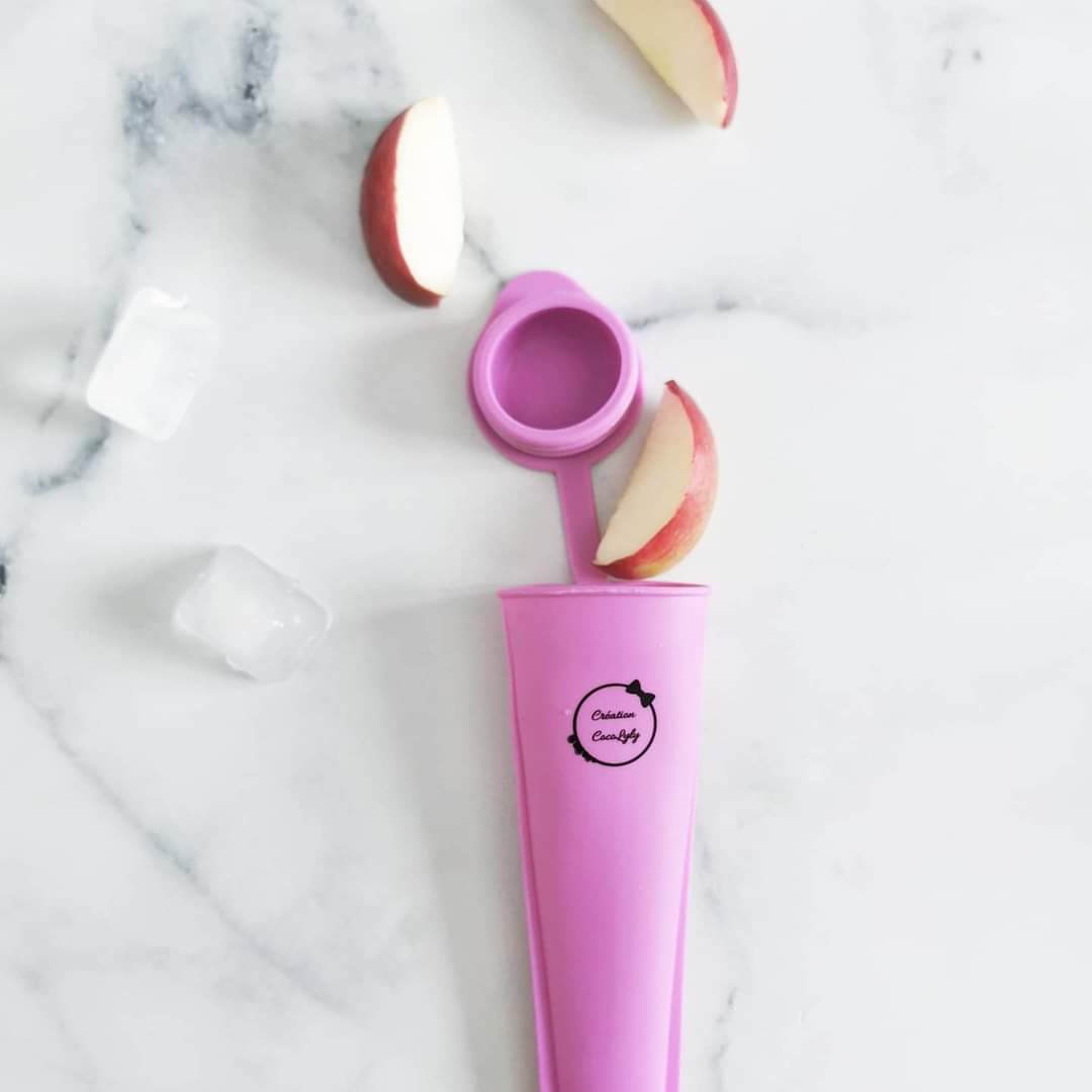 Ensemble de 4 moules à pop glacer