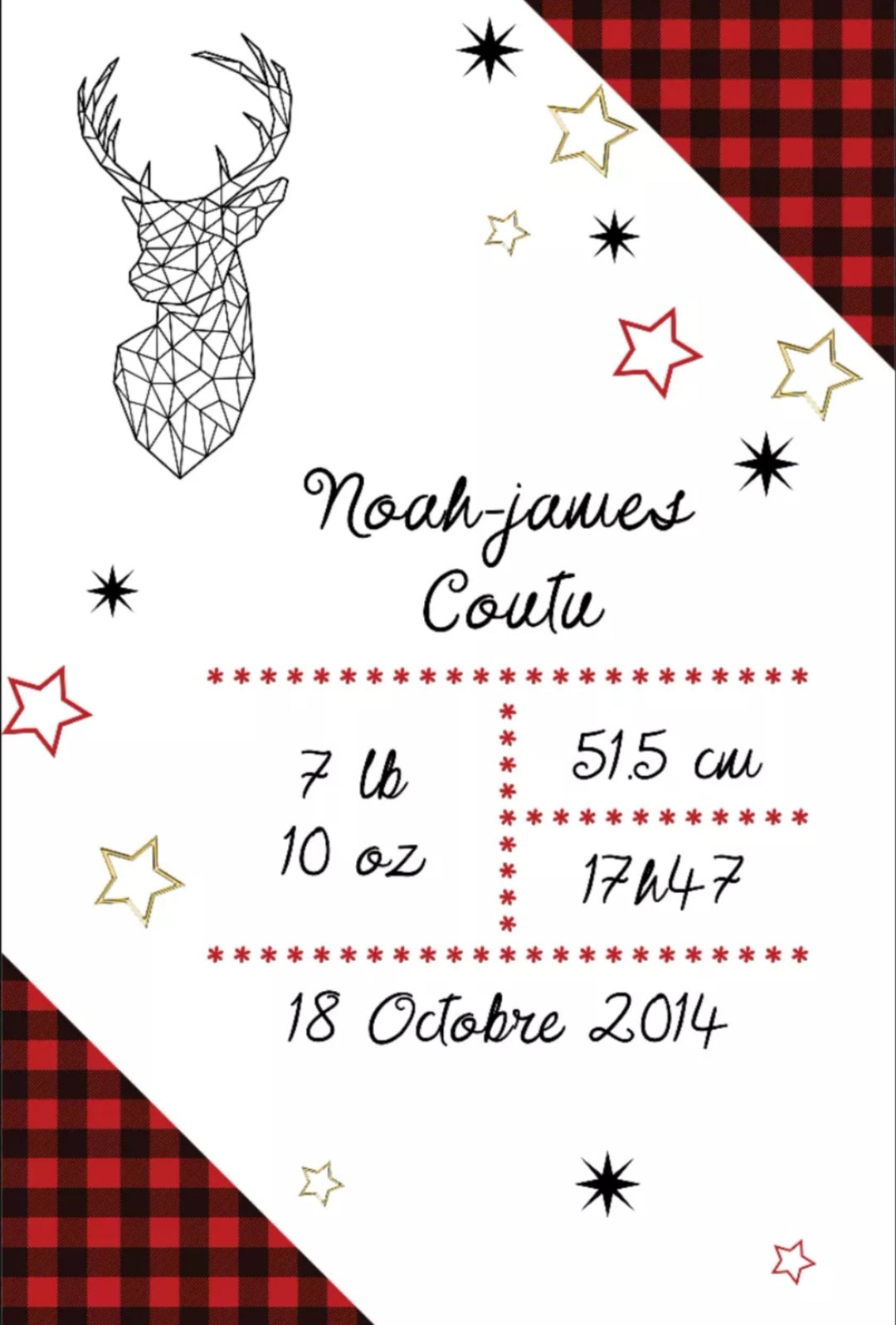 Doudou doublé minky de naissance personnalisable chevreuil