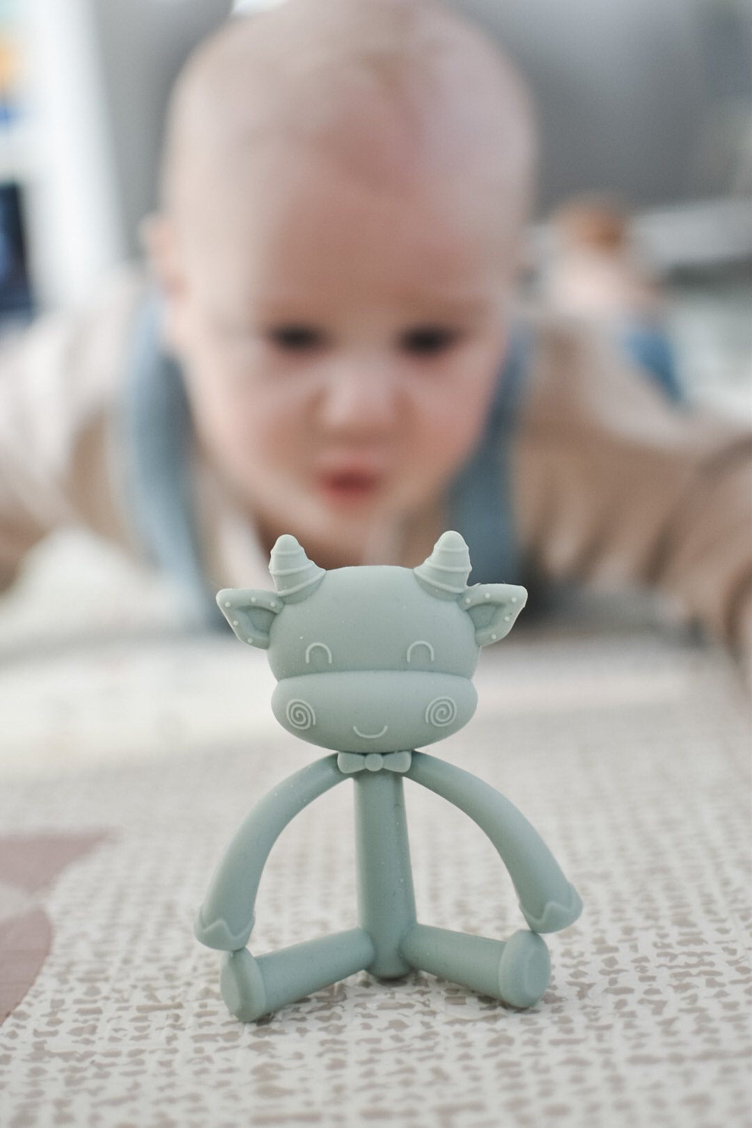 Petite vache de dentition