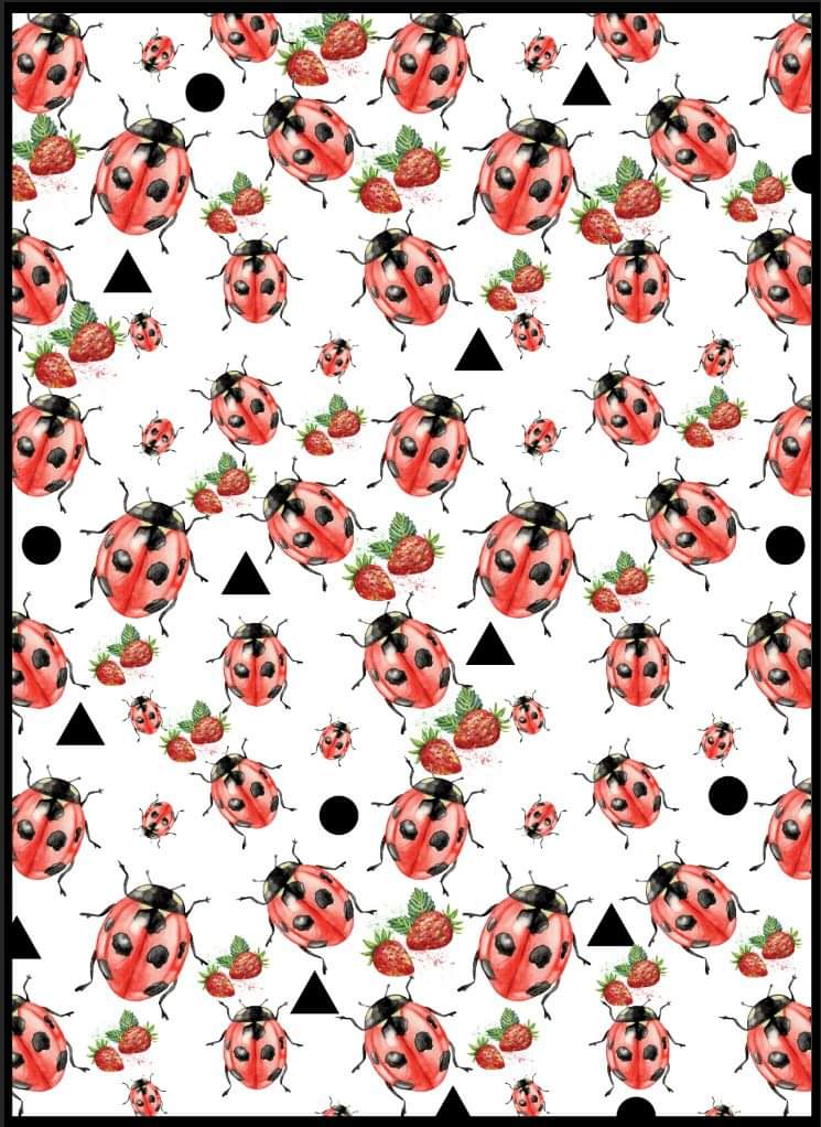 Doudou doublé basinette standard coccinelle prêt a partir